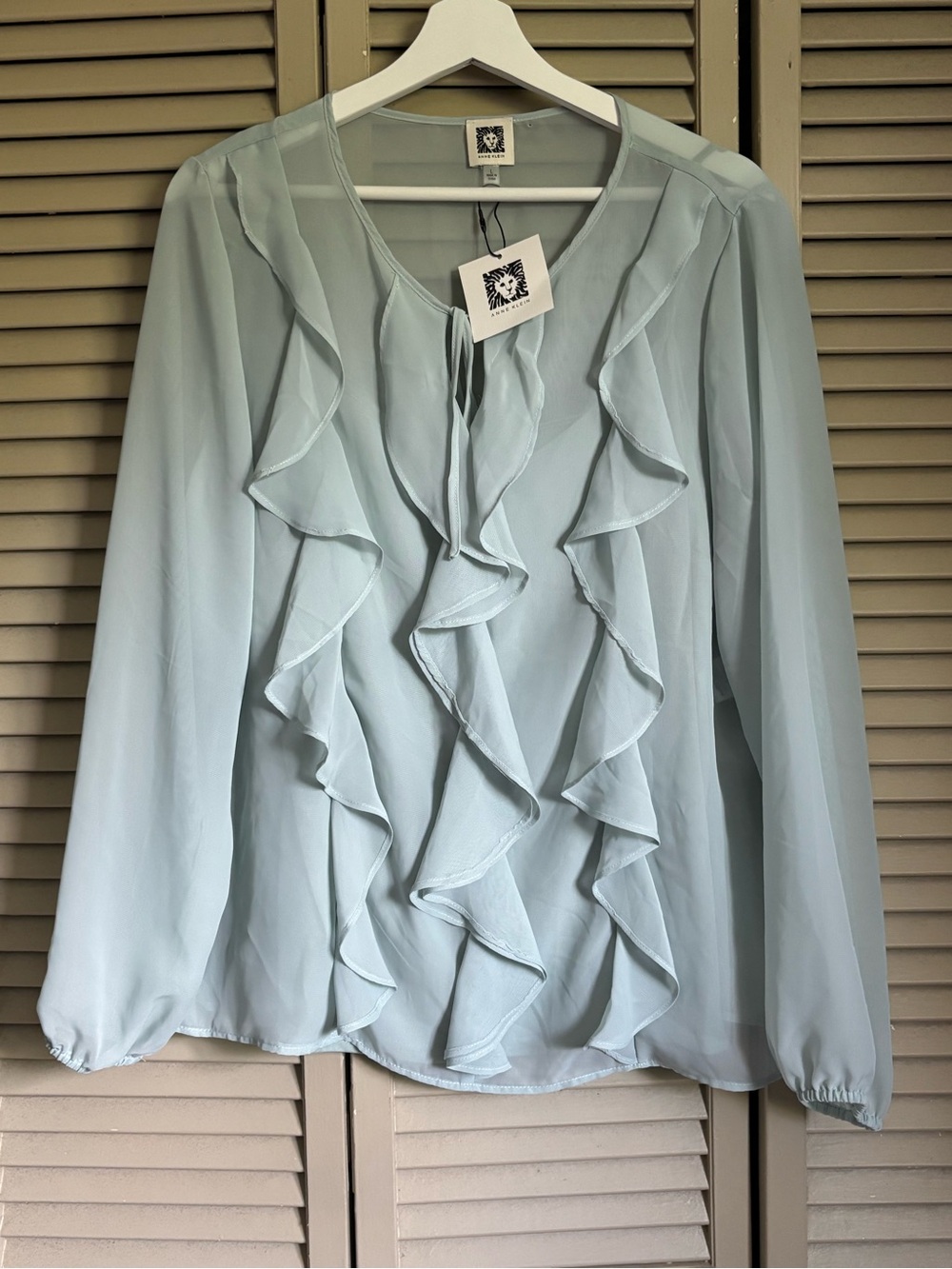 Anne Klein soft aloe sheer ruffle long sleeve top